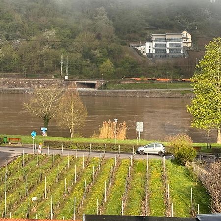 Moselblick hakans Treis-Karden Exteriör bild