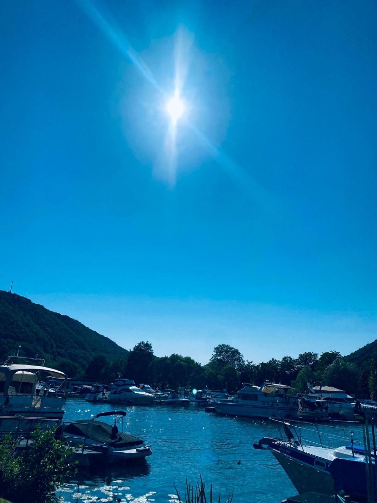 Moselblick hakans Treis-Karden Exteriör bild