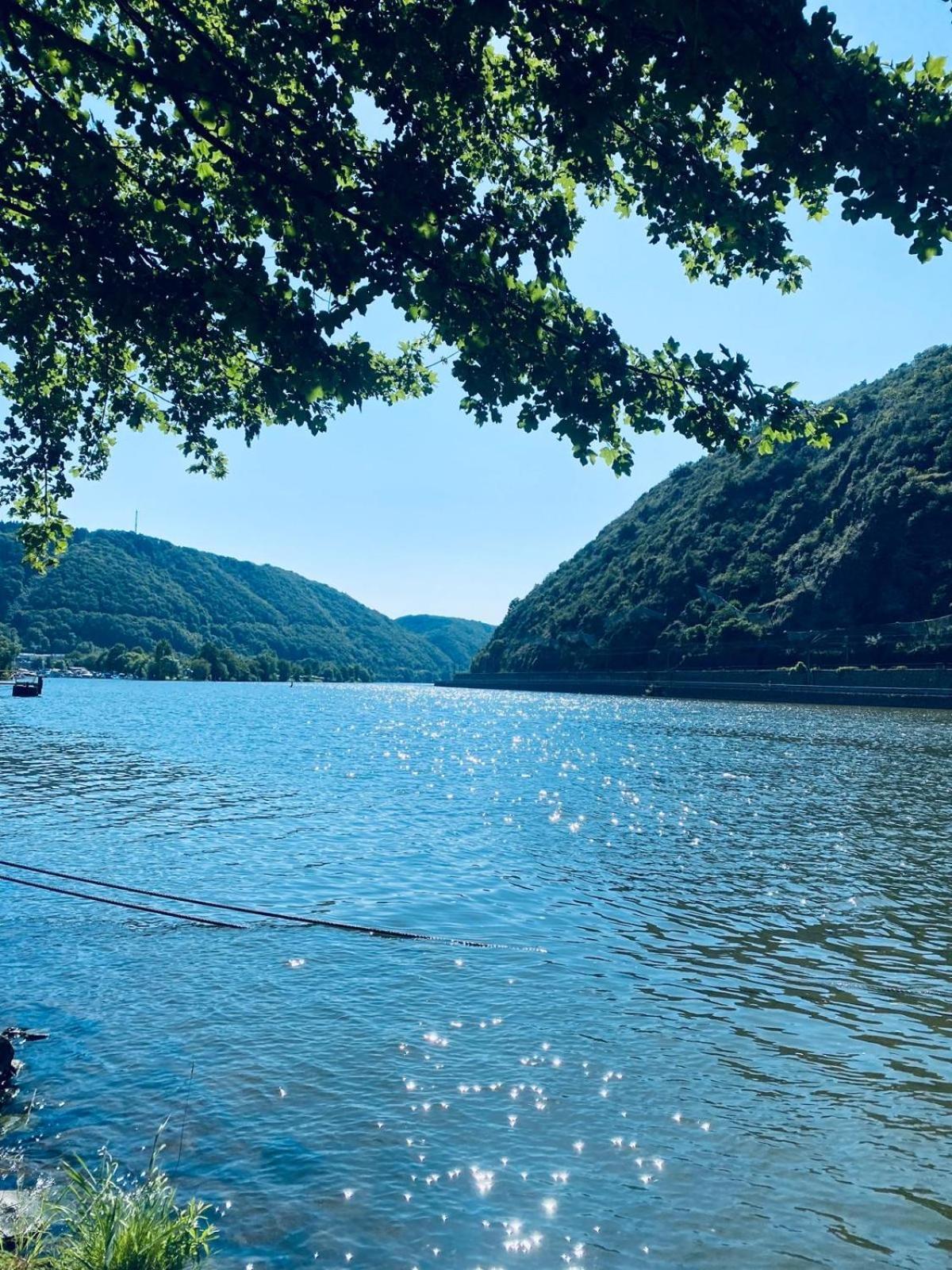 Moselblick hakans Treis-Karden Exteriör bild
