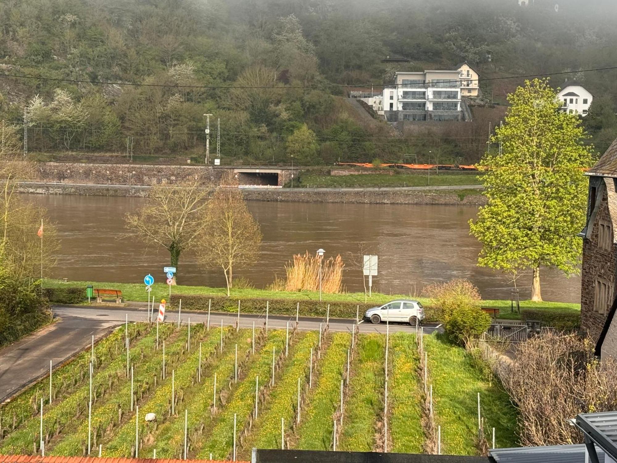 Moselblick hakans Treis-Karden Exteriör bild